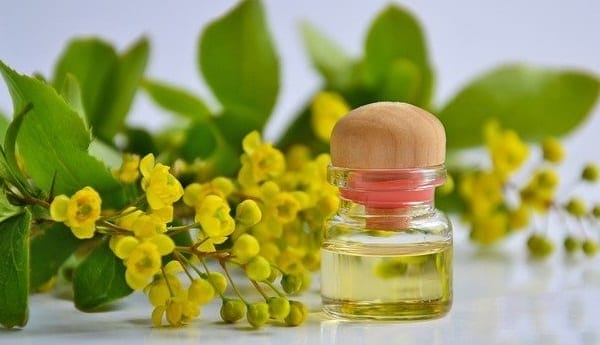 Canola Oil For Sale