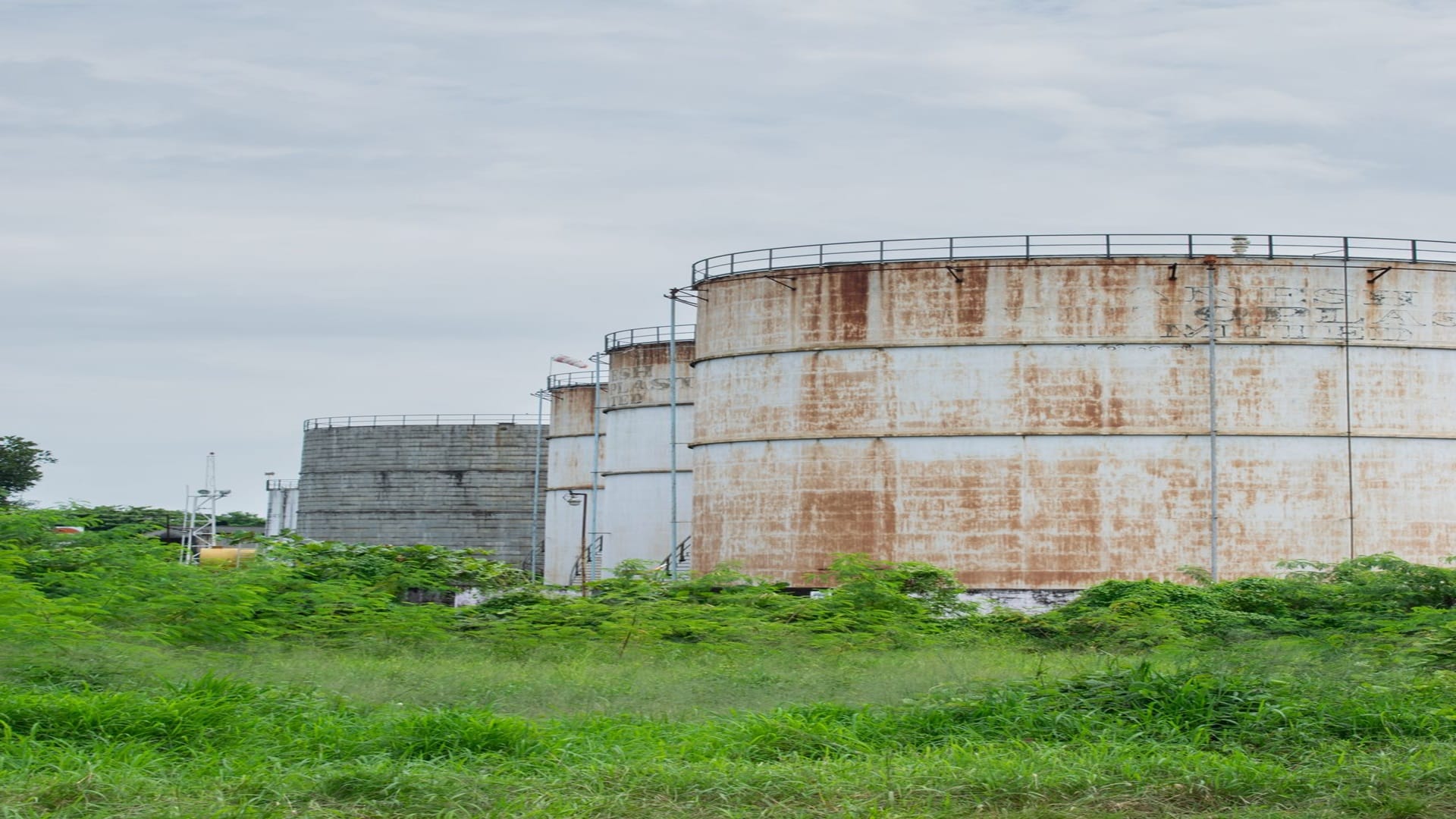 Edible Oils Logistics Flexitank Trends & Trade Routes