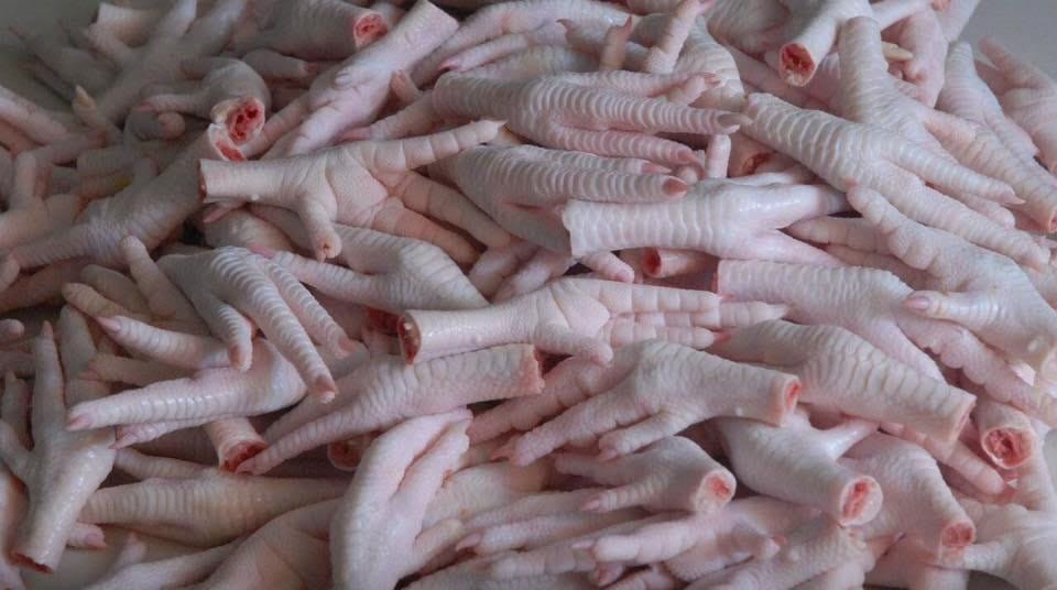 Frozen Chicken Paw For Sale