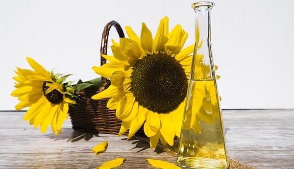sunflower-oil for sale